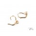 Нежни Обеци 14К Жълто злато с Английско Закопчаване   Bloom Jewellery